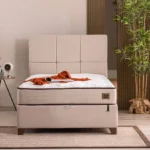 Sunshine Serisi Baza