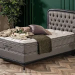 Valentina Serisi Baza